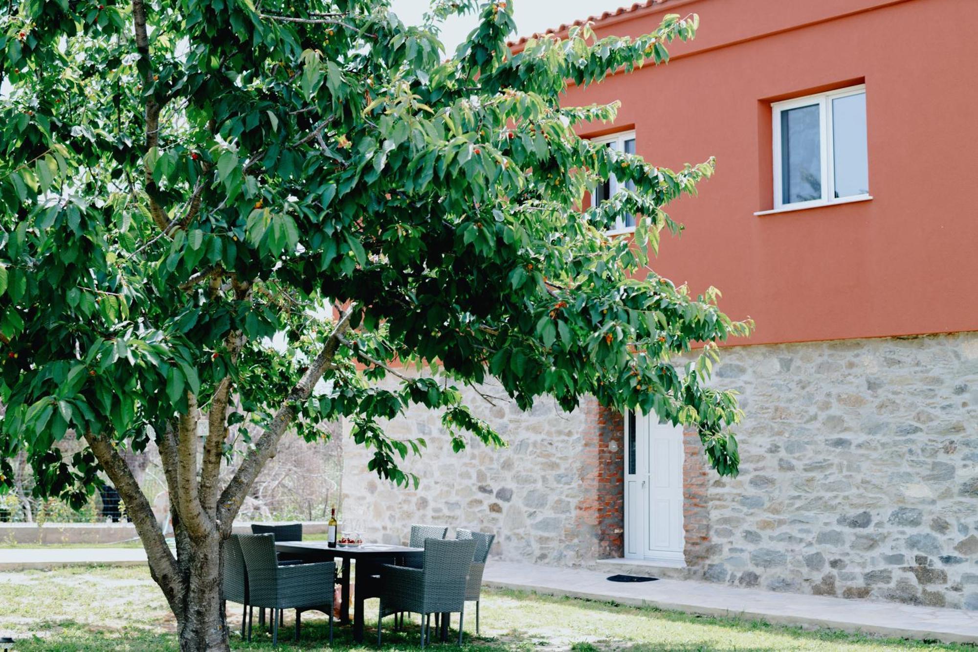 Stone House In *